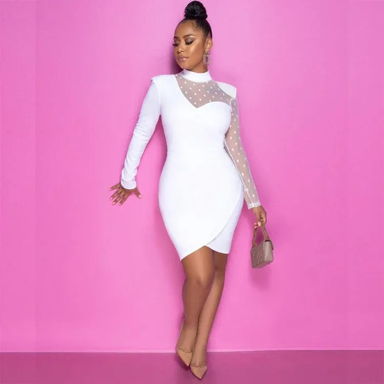 Lace Patchwork Women's Slim Bodycon Long Sleeve Party Dresses